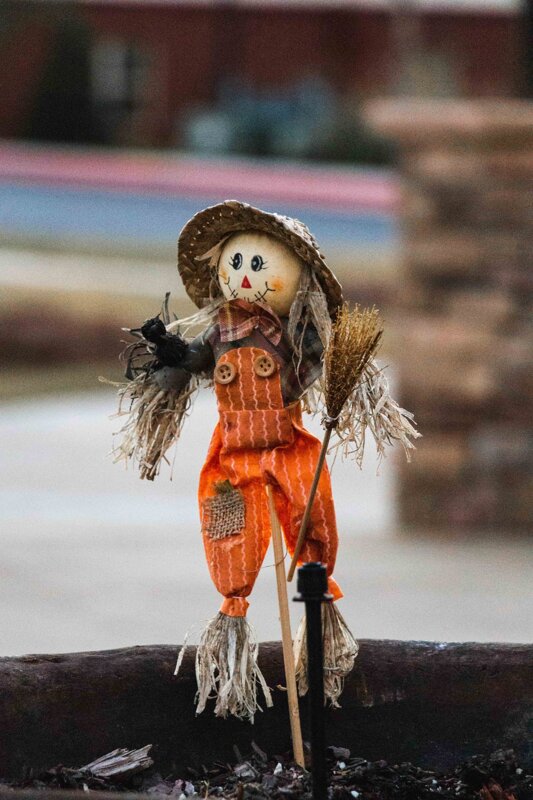Image of BDDD Annual Scarecrow Trail Event