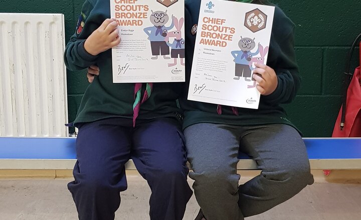 Image of Bronze Chief Scouting Awards