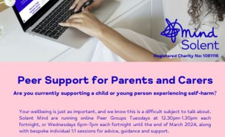 Image of Peer Support for Parents and Carers